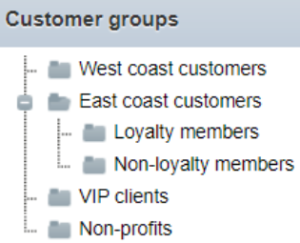 segment customers in erply for wholesale